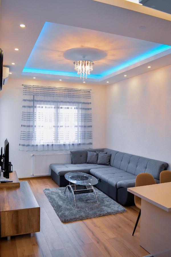 Apartman Blagojevic Banja Koviljaca Luaran gambar